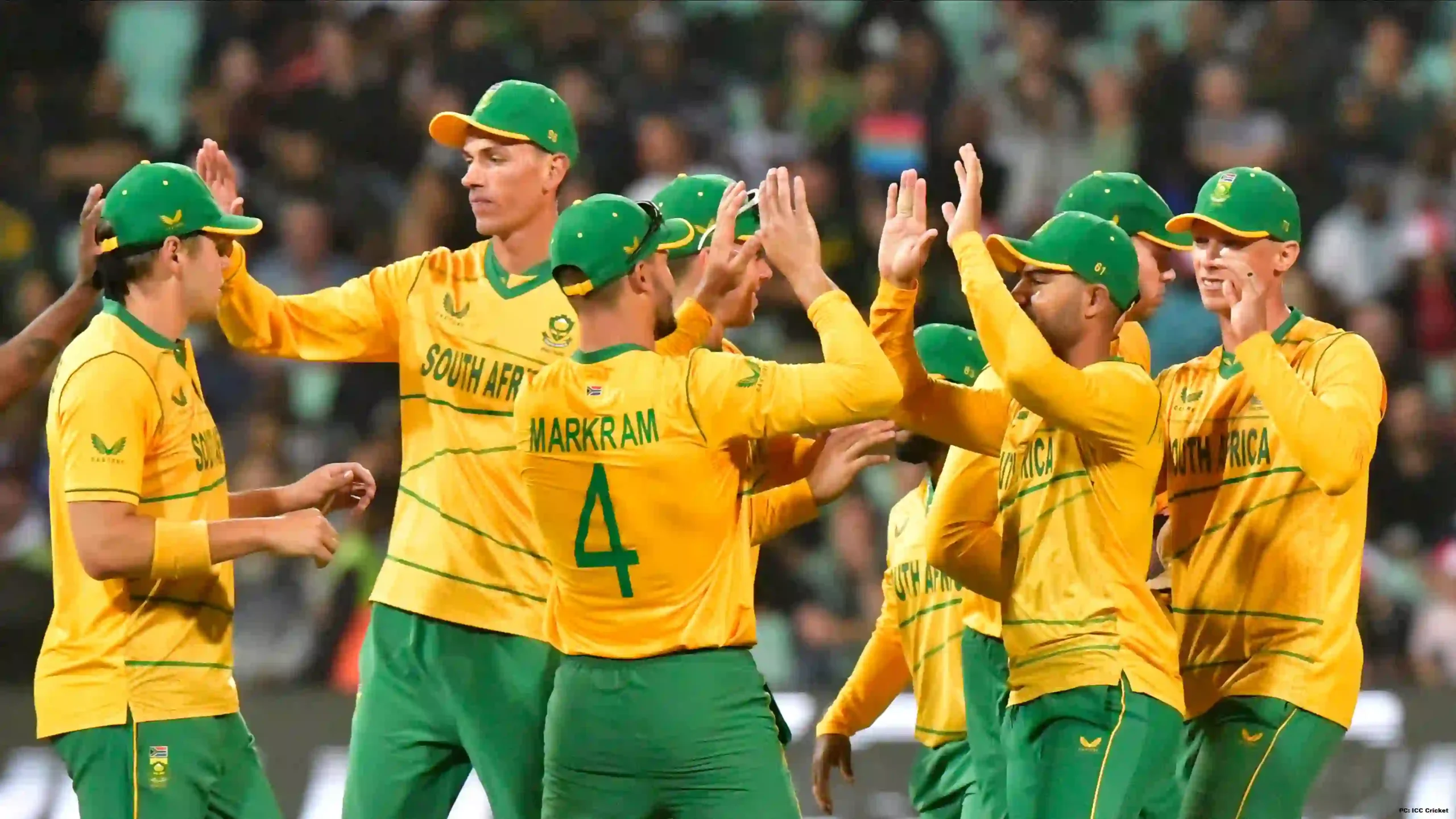 South Africa World Cup New Squad